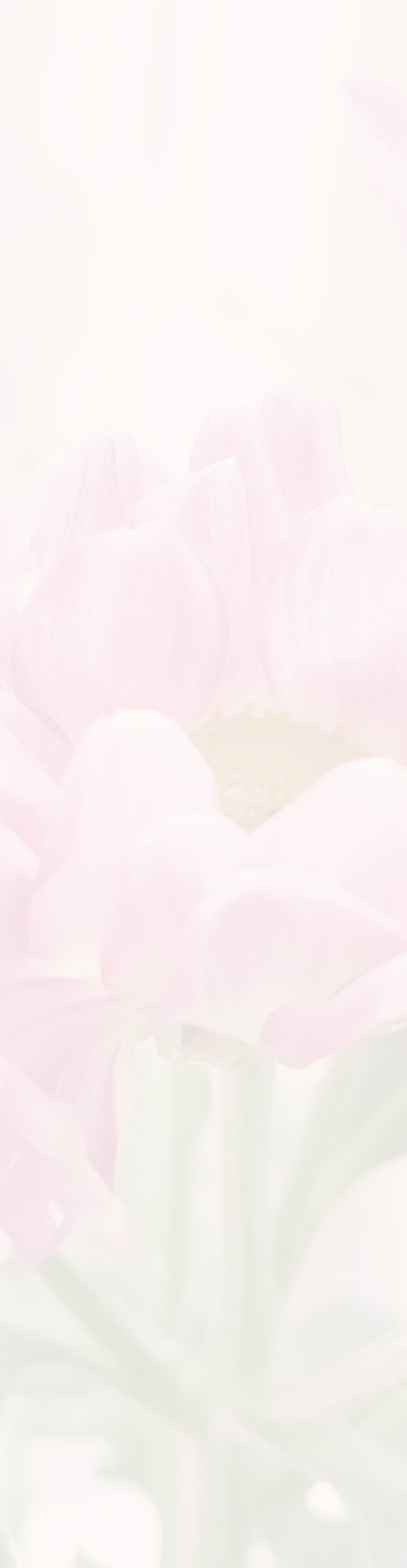 Collections background - Mobile Image