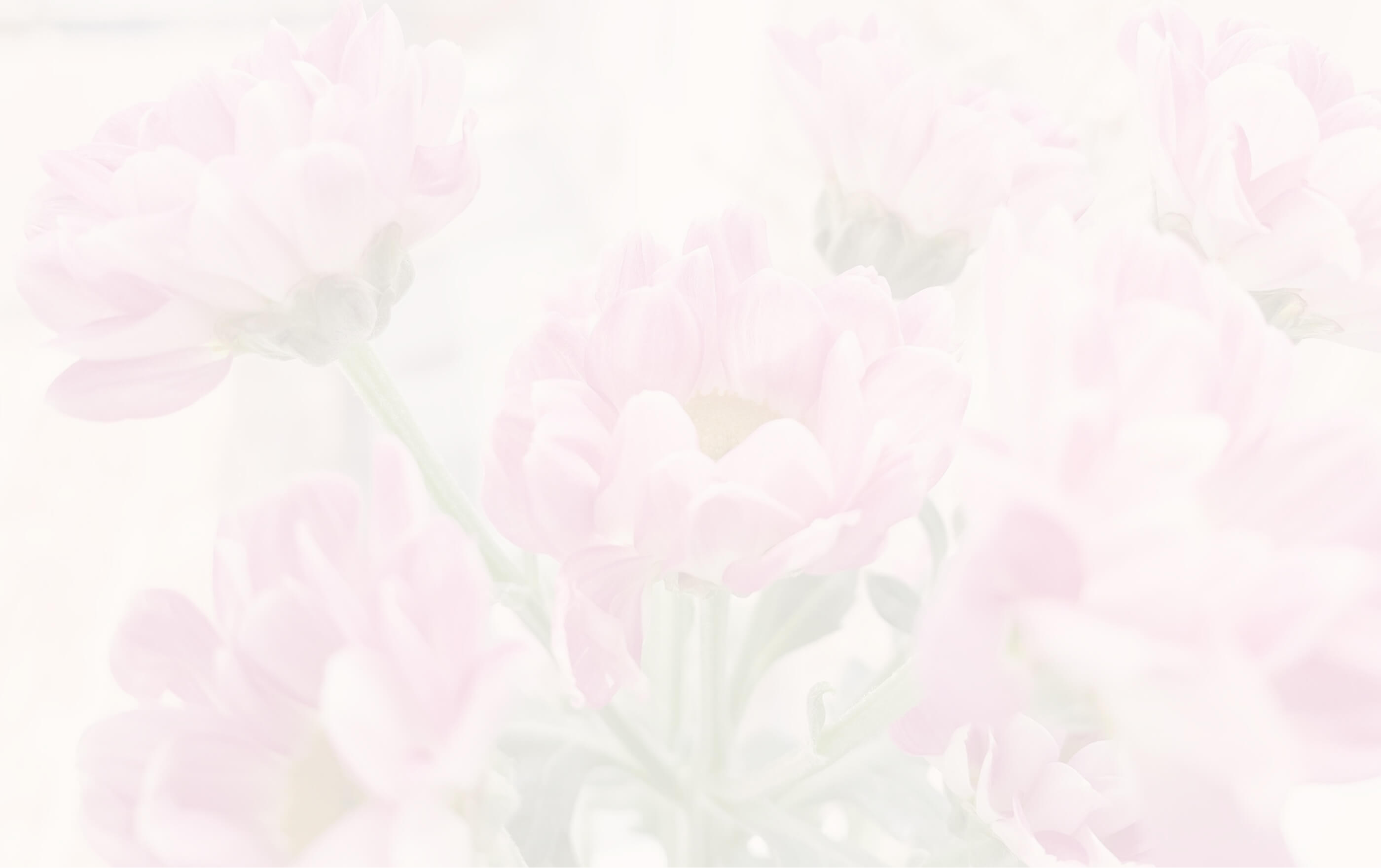 Collections background - Desktop Image